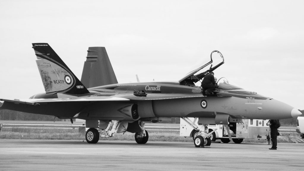Canadian hornet